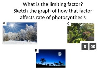 B2 2.4 Making the Most of Photosynthesis