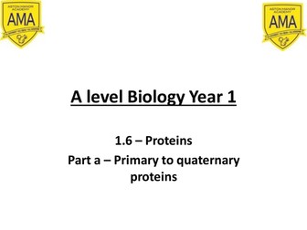 AQA A level Biology new spec year 1 1.6 Proteins