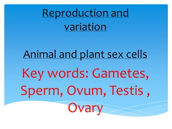 year 8  - Reproduction and variation 