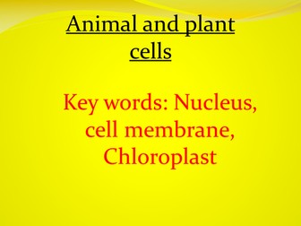 Year 7/8 cells, and microscopes. 