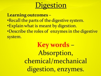 digestion