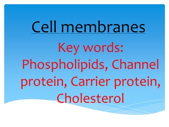 AS new specification - Cell membranes 
