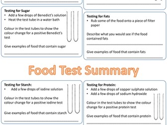 Food Test Summary