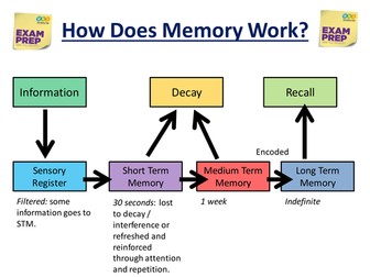 GCSE Exam Technique - How Memory Works