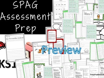 Spelling, Punctuation and Grammar Pack (Assessment Prep)