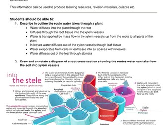 A-level set practicals - using a potometer