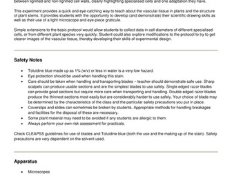 A-level set practicals - dissection and microscopy of a plant stem
