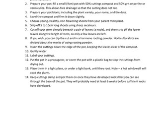 Revising A-level Biology: Plants 'R' Mint