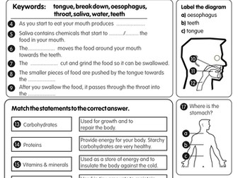 110 KS2 FREE Science Worksheets and Lesson Starters - for Print, Whiteboard and Tablets - Digestive