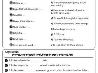 110 KS2 FREE Science Worksheets and Lesson Starters - for Print, Whiteboard and Tablets -Circulation