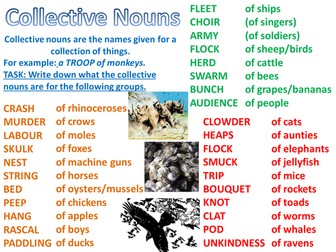Grammar- Nouns- Types of Nouns- Yr 5/6
