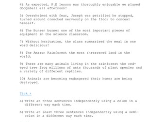 Grammar- Colons and Semi-Colons Yr 5/6