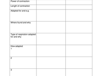 Muscle Contraction Sliding Filament Theory