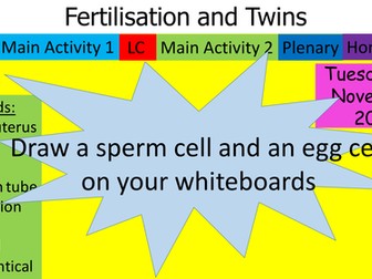 Fertilisation and twins - Year 7 science