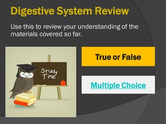 Interactive Review for Digestive System