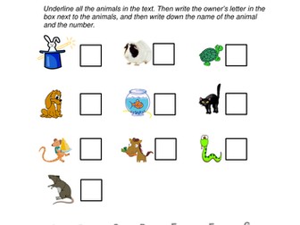 Regular plurals - pets