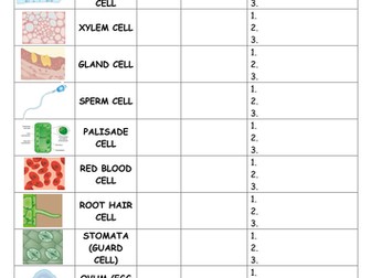 Specialised Cells Research Worksheet