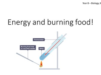 Biology Starter Donut Burger Calorie Challenge