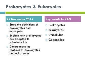 Prokaryotes and Eukaryotes