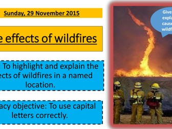 Effects of wildfires