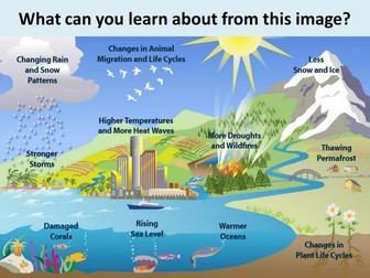 How well do we protect the environment in the UK?