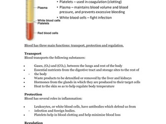 components and functions of blood