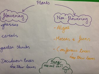 Year 6- Living things and their habitats- COMPLETE unit of work