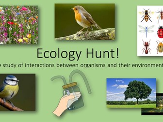 Ecology Wildlife Hunt