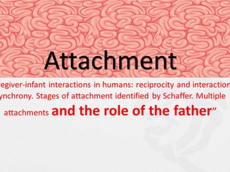 Lesson 3: The Role of the Father.  Attachment (New AQA Specification)