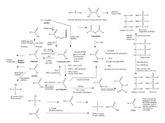 Edexcel (2008) A2 Further Organic Revision Mind Map