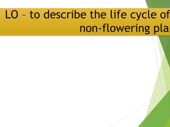 Non-flowering plant cycle