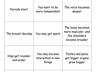 KS3 Puberty sorting activity