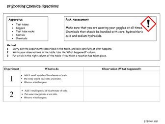 Exploring science 8F Simple chemical reactions practical activity worksheet and bench cards