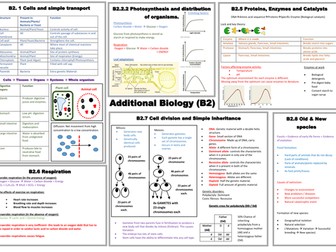 B2 mind map / summary sheet
