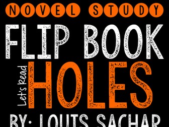 Holes Novel Study Flip Book