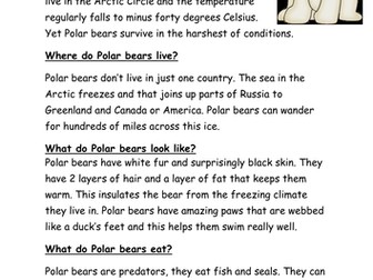 Polar Bears and Penguins Lessons