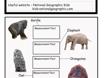 5th Grade Math - Complete measurement lesson - Weight - pounds, ounces. 