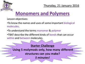 AQA AS Biology Monomers and Polymers presentation