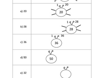 Highest Common Factor Bugs 
