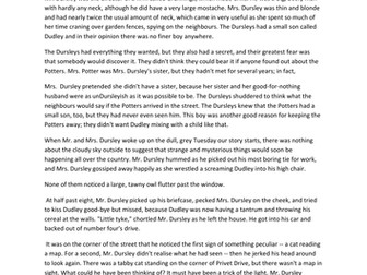 Harry Potter and the Philosopher's Stone Comprehension