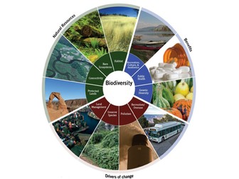 Understanding Biodiversity I