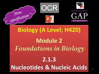 OCR (A Level; H420) - 2.1.3 Nucleotides and Nucleic Acids - 1st Assessment 2017 - pptx