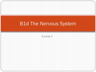 The Nervous System GCSE Biology OCR B1d