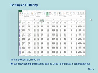 Spreadsheets - Sorting and Filtering