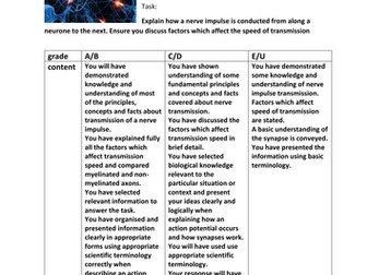 A2 nerve impulse assessment