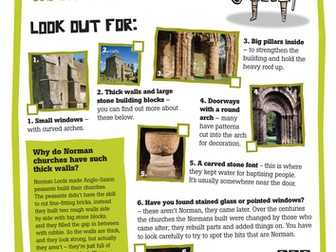 Life in Norman Ireland