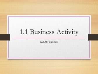 GCSE Business Activity