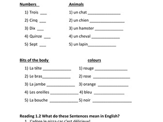Year 3/4 French end of unit assessment: introductions, likes and dislikes