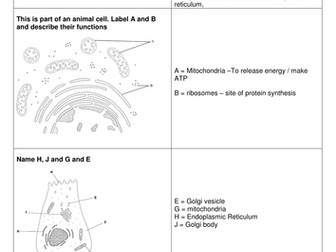 AQA_7401_NEW AS BIOLOGY_UNIT 2_REVISION SHEETS_CELLS AND IMMUNITY