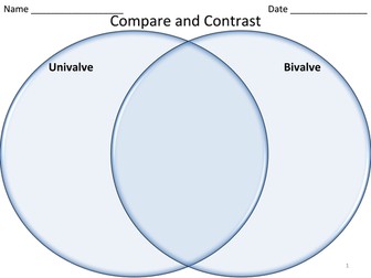 Shells and Mollusks - Powerpoint & Activities